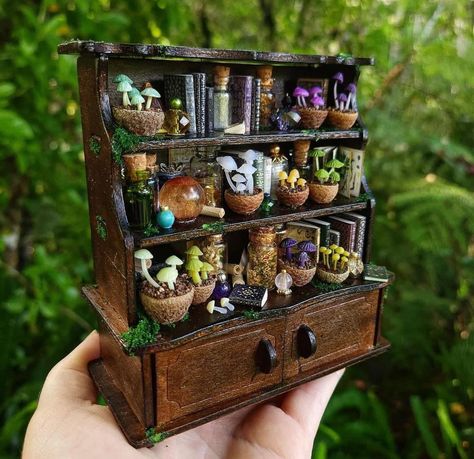 Miniature Witch Room, Witchy Diorama, Witches Cottage Dollhouse, Witchy Miniatures, Cabinet Of Curiosities Miniature, Dollhouse Miniature Apothecary, Halloween Diorama, Bookshelf Art, Haunted Dollhouse