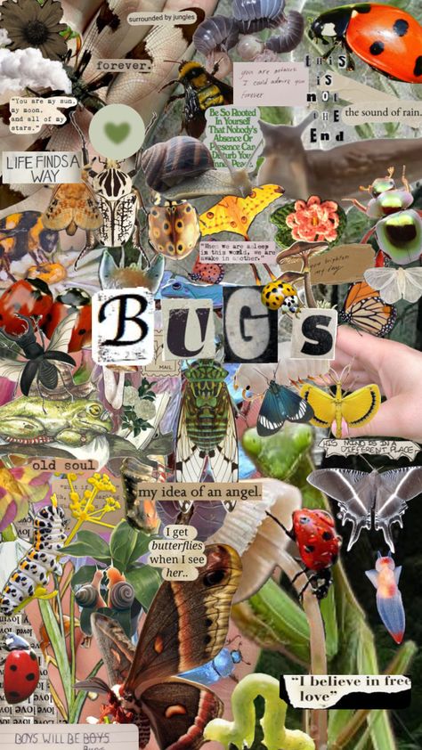 i know some arent bugs dont yell at me :’( #bugs #animals #nature Bug Pfp Aesthetic, Bugcore Wallpaper, Bug Core Aesthetic, Bug Aesthetic Wallpaper, Aesthetic Bug Wallpaper, Bug Pfp, Bug Iphone Wallpaper, Bug Phone Wallpaper, Insects Aesthetic