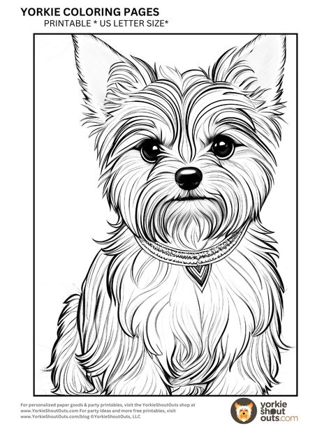 Yorkie Terrier Coloring Pages for Kids and Adults Get ready for some tail-wagging fun with these printable Yorkie Terrier coloring pages. Coloring Pages For Kids. Coloring Page For Adults. Coloring Pages Printables. https://www.etsy.com/shop/YorkieShoutOuts #coloringpagepencil #coloringbook Yorkie Coloring Pages, Yorkie Art, Coloring Page For Adults, Adults Coloring, Yorkie Terrier, Tail Wagging, Dog Rocks, Drawing Projects, Kids Coloring