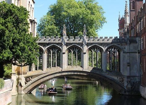 The Bridge of Sighs | StJohns Gothic Bridge Minecraft, Casa Viking, Castle Bridge, Bridges Architecture, Architecture Bridge, Arched Bridge, Bridge Architecture, Gothic Buildings, Metal Bridge