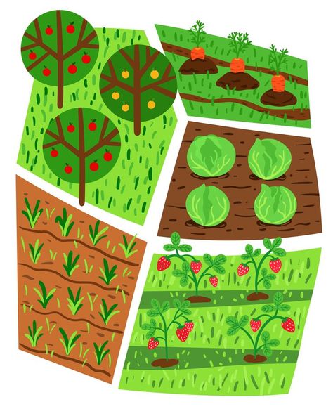 Fruit Trees Garden Design, Fruit Tree Garden, Vegetable Garden Beds, Vegetable Illustration, Garden Illustration, Tree Graphic, Vegetable Garden Design, Tree Illustration, Children's Picture Books