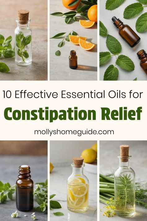 Explore the wonders of essential oils for constipation relief with our collection of DIY recipes and tips. Discover the best essential oils for digestion and constipation, along with how to use coconut oil effectively. Learn about abdominal massage techniques that can help ease discomfort and promote a healthier gut. Whether you're looking for natural remedies for yourself or your little ones, these essential oils are gentle yet effective. Say goodbye to tummy troubles and welcome the miracle po Essential Oils For Constipation, Oil For Constipation, Fennel Essential Oil, Marjoram Essential Oil, Constipation Remedies, Basil Essential Oil, Constipation Relief, Ginger Essential Oil, Apothecary Cabinet