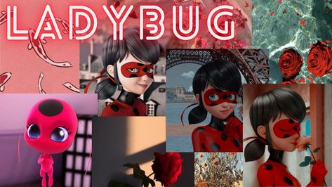 A Ladybug desktop wallpaper Laptop Wallpaper Aesthetic, Laptop Wallpaper Desktop Wallpapers, Ladybug Wallpaper, Miraculous Ladybug Wallpaper, A Ladybug, Wallpaper S, Wallpaper Laptop, Desktop Backgrounds, Laptop Wallpaper