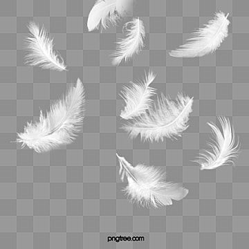 Feather Graphic, Broken Wings, Fall White, Watercolor Feather, Photo Background Images Hd, Blue Sky Background, Font Illustration, Floating Flowers, Light Letters