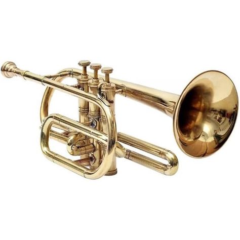 Nautical-Mart Eastar Bb Personalized Brass Cornet Stylish Musical Instrument Tuner Cornet Mouthpiece with Carrying Case (Brass Finish) Brass Instruments, Steel Sculpture, Trombone, Musical Instrument, Carrying Case, Brass Finish, Drawing Reference, Musical Instruments, Carry On