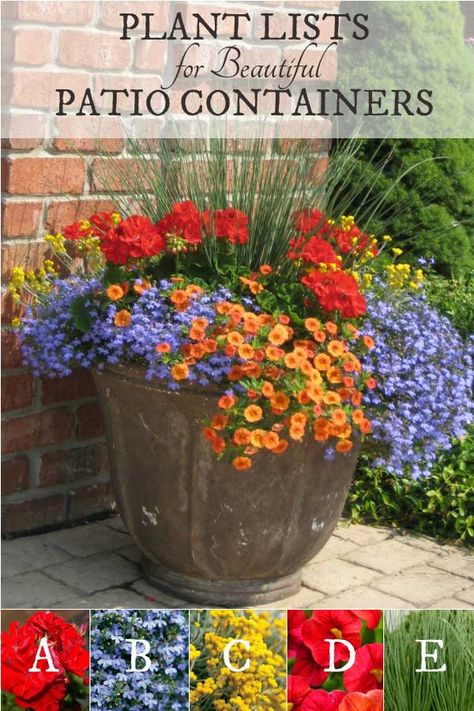 Tanaman Pot, Patio Flowers, Porch Flowers, Container Garden Design, Container Gardening Flowers, Patio Planters, Flower Pots Outdoor, Proven Winners, Beautiful Patios