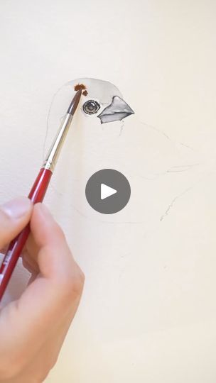 Watercolor sparrow | Painted Wing Sparrow Painting, How To Draw A Sparrow Step By Step, Watercolor Birds Tutorial Step By Step How To Paint, Sparrow Tattoo Watercolor, Watercolor Sparrow, Sparrow Painting Watercolors, Watercolor Birds Tutorial, Sparrow Drawing, Watercolor Splotch Birds