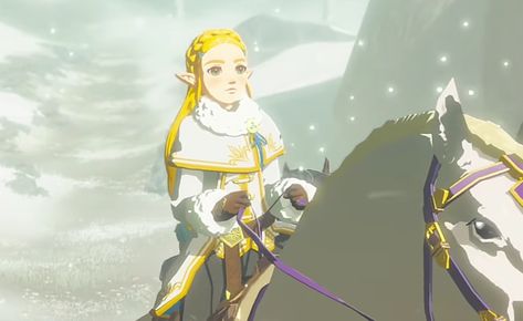 Zelda Winter Outfit, Breath Of The Wild Champions, Botw Zelda, Zelda Breath Of The Wild, Zelda Breath, Breath Of The Wild, Winter Clothes, Winter Outfit, The Wild