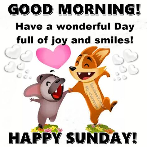 Have a wonderful day full of joy and smiles! Happy Sunday! Good Morning! Wonderful Sunday Quotes, Funny Sunday Morning Humor, Happy Sunday Good Morning, Weekly Greetings, Quotes Sunday, Sunday Humor, Happy Sunday Images, Good Morning Sunday, Good Morning Sunday Images