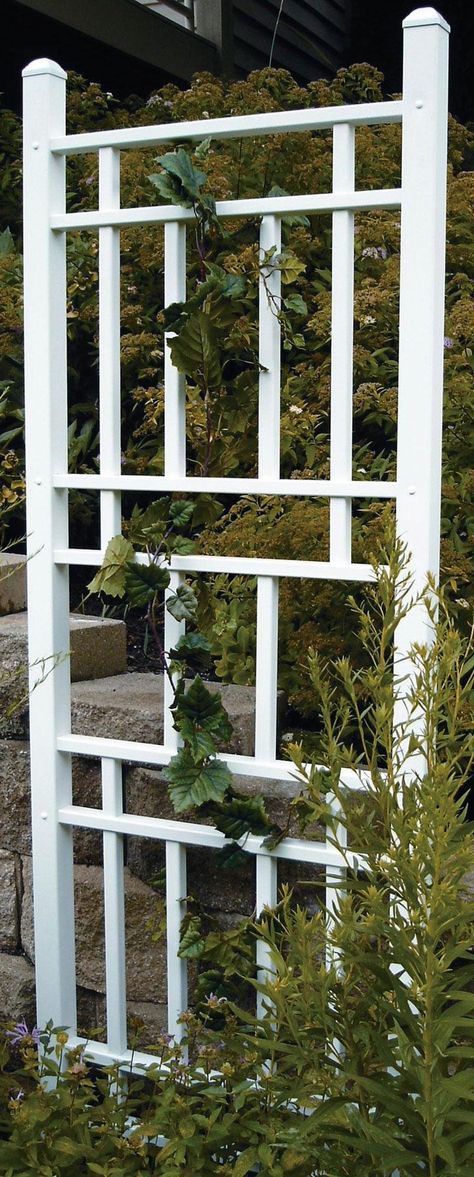 PRICES MAY VARY. Garden Trellis: Classic grid-style trellis strong enough for any plant or climbing vine, complementing your surrounding garden or patio Durable Material: Made with the finest quality PVC with an ultraviolet stabilizer to eliminate damage even after years of exposure to the elements Superior Protection: Will never delaminate, crack, peel, fade, or discolor in any way thanks to long-lasting weather protection Easy to Clean: Only maintenance needed is a simple spray with a garden h Modern Trellis Design, Vinyl Lattice Panels, Clematis Trellis, Pergola Diy, Wall Trellis, Modern Trellis, White Trellis, Arbors Trellis, Cheap Pergola