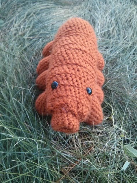 My attempt at a Tardigrade. :) Books To Buy, Crochet Ideas, Biology, Knit Crochet, Crochet Hats, Amigurumi, Knitting, Crochet, Hats