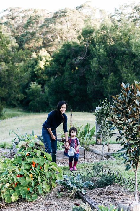 Vegetable garden at a family-run farm near the Glasshouse Mountains on the Sunshine Coast of Queensland | Photography: Abbie Melle Cloud Pruning, Glasshouse Mountains, Hampton Garden, Naturalistic Garden, Solar Power Energy, Azalea Flower, Laundry Ideas, Solar Farm, Gardening Trends