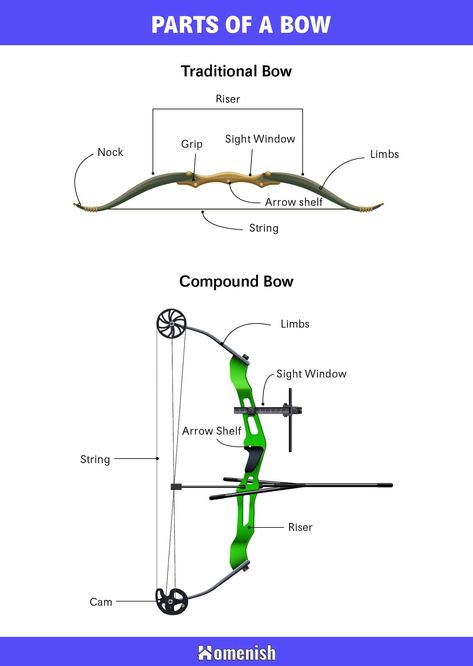 Learning about the equipment used in archery is essential to being successful in this sport, whether you are involved in recreational hunting purposes, competing as an athlete, or decorating items in houses. There are several types of bows that are used in archery, and here we discuss all of the parts of a bow found on a traditional bow and arrow as well as on a modern compound bow. Parts Of A Bow And Arrow, Types Of Bows Archery, Traditional Bow And Arrow, Compound Archery, Type Anatomy, American Heritage Girls, Types Of Bows, Being Successful, Traditional Bow