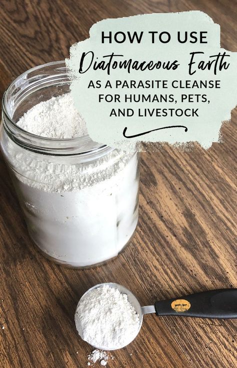 Gut Parasite Cleanse, Parasites In Humans, Diatomaceous Earth Food Grade, Parasite Cleanse, Natural Healing Remedies, Home Health Remedies, Herbal Healing, Holistic Remedies, Herbs For Health