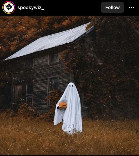 Helloween Wallpaper, Hallowen Ideas, Sheet Ghost, Halloween Witch Decorations, Ghost Photography, Halloween Photography, Magical Home, Ghost Pictures, Ghost Photos