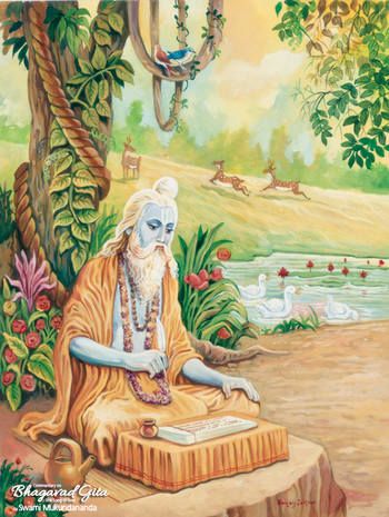 Ved Vyas, The Six, Swami Mukundananda, Lock Screen Backgrounds, Six Senses, Spiritual Dimensions, Material World, Banyan Tree, Animal Species