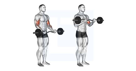 Dumbell Press, Triceps Extension, Upright Row, Biceps Brachii, Bicep Muscle, Barbell Squat, Military Press, Preacher Curls, Shoulder Day