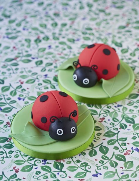 Ladybug Fondant, Insect Cake, Ladybird Cake, Ladybug Insect, Ladybug Cakes, Ladybug Cupcakes, Bug Cake, Ladybug Cake, Ladybug Birthday Party