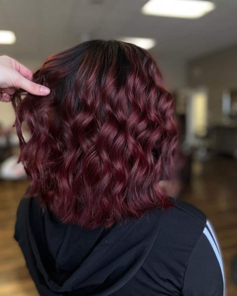 Growing Out Colored Hair Natural, Dark Maroon Hair Burgundy, Maroon Curly Hair, Maroon Hair Dye, Maroon Hair Color, Balayage Inspiration, Wild Curls, Hair Color Ideas Trending, Wine Hair Color