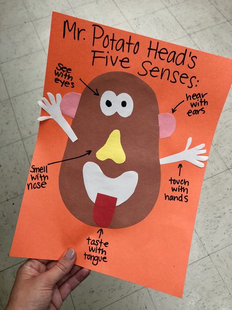 Mr. potato head’s five senses! #fivesenses #toystory #mrpotatohead #preschool #craft Me Potato Head Craft, Five Senses Literacy Activities Preschool, Five Senses Crafts For Infants, Five Senses Art For Preschool, Five Senses Infant Activities, 5 Senses Arts And Crafts, Preschool Senses Crafts, Five Senses Crafts For Preschool Ideas, My Senses Art Preschool