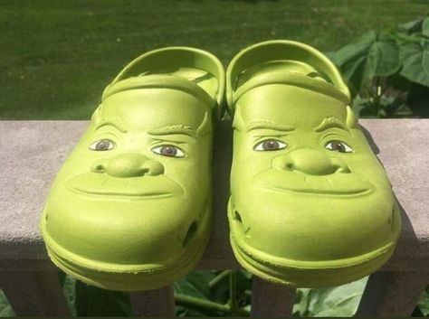 Shrek Crocs, Shrek Memes, Ugly Hair, Cute Love Memes, Breaking In, Roblox Memes, Funny Profile Pictures, Love Memes, Shrek