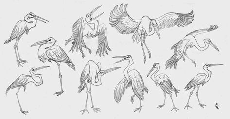 Crane Character Design, Animal Animation, Arthur Christmas, Birds Illustration, Cartoon Birds, Herons, Animal Sketches, Sony Pictures, Blog Website