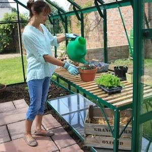 This freestanding 2 tier staging is a great way to store plants and gardening tools in greenhouses. Greenhouse Staging, Aluminium Greenhouse, Slatted Shelves, Greenhouse Interiors, Devon And Cornwall, Compost Bags, Green Powder, Potting Shed, Pine Green