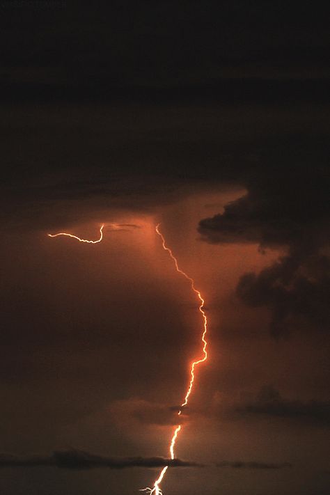 Lightning Gif, Lightning Photography, Thunder And Lightning, Atmospheric Phenomenon, Lightning Storm, Weather Photos, Stormy Weather, Lightning Strikes, Tornado