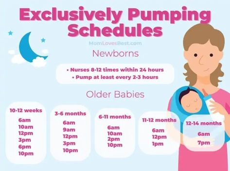 Elvie Stride Pump Settings, Pumping Schedule Exclusively, Pump Schedule, Freemie Pump, Boost Milk Supply Breastfeeding, Breast Pumping Schedule, Exclusively Pumping Schedule, Pumping Tips, Boost Milk Supply