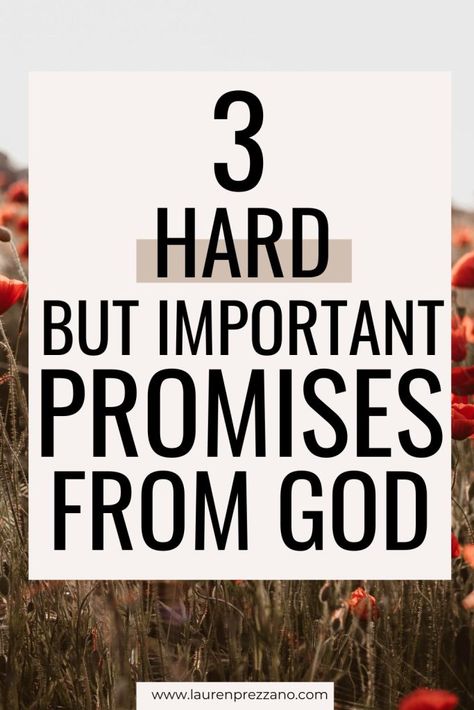 Learn three hard but important promises from God| promises of God | promises of God scriptures | promises from God bible verses Gods Promises Quotes Encouragement, Promises Of God Scriptures, Gods Promises Quotes, God Bible Verses, God Scriptures, God Promises, Promises Of God, Father Son Holy Spirit, Jesus Today