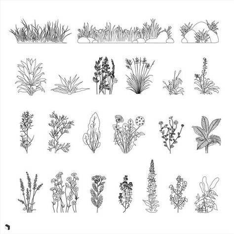 Cad wild plant themed vegetation cad blocks for your architecture & design projectsFile Type: CadFile Size: 6 MBFormat: AI, DWG, PDF Technical details: All vector drawings are resizable. You can easily change the colors and backgrounds of AI files in Adobe Illustrator or DWG files in Autodesk Autocad.Software compatibility: Autodesk Autocad 2013 or newer.Content: This pack includes common style recolorable and resizable cad blocks. Suitable for any project.About Cads: People, furniture, plan Vegetation Drawing, Vegetation Architecture, Vegetation Illustration, Sketch Shoes, Plant Architecture, Landscape Architecture Graphics, Plant Sketches, Landscape Design Drawings, Plant Vector