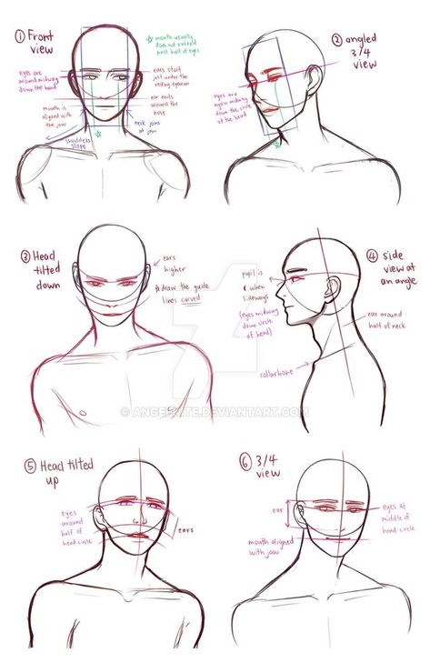 Male Head Side View Drawing, Head Atonamy, Male Atonamy, Male Atonamy Reference, Male Bust Drawing Reference, Bust Up Pose Reference Male, Male Bust Reference, Male Head Drawing Reference, Male Head Reference