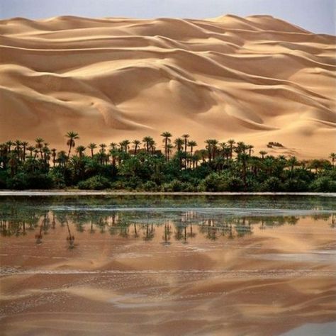 Arabian Desert Aesthetic, Vacation Places In Usa, Desert Paradise, Desert Aesthetic, Iggy Pop, Desert Oasis, المملكة العربية السعودية, Libya, Vacation Places