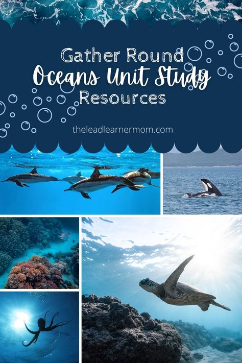 Gather Round Homeschool, Ocean Lesson Plans, Homeschool Units, Ocean Books, Ocean Projects, Unit Studies Homeschool, Ocean Unit, Time Planning, Ocean Activities