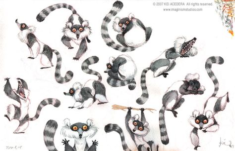 Kei Acedera, Lemur Art, Childrens Books Illustrations, Sketch Inspiration, Primates, Illustration Character Design, Art References, Life Drawing, Creature Design