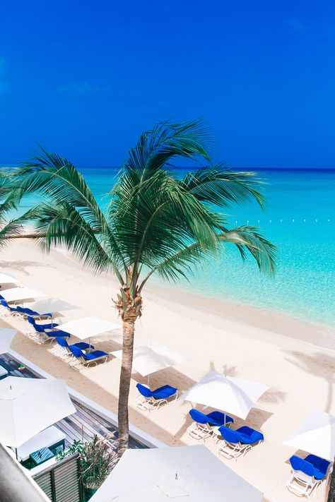 Turquoise Caribbean Sea. St. James, Holetown, Barbados. Fairmont Royal Pavilion. #sponsored Barbados Vacation, Barbados Travel, Royal Pavilion, Terrace Restaurant, Ocean Sounds, Travel Wishlist, Fun Dinners, St James, Caribbean Sea