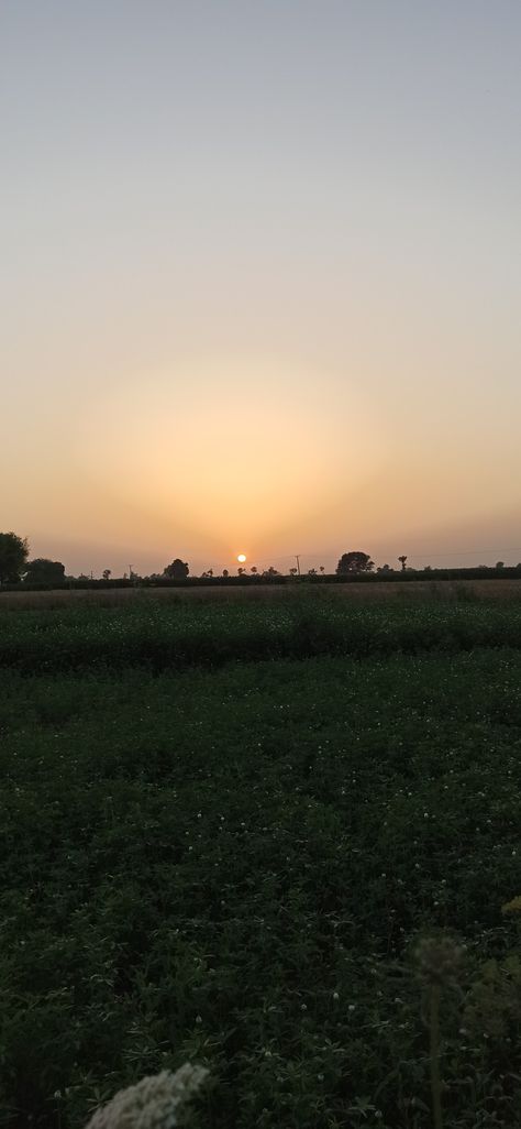 Sunset Snap, Punjab Village, Flower Captions, Sunset Village, Village Photography, Sunset View, Sunset Views, Photography Nature, Stunning View