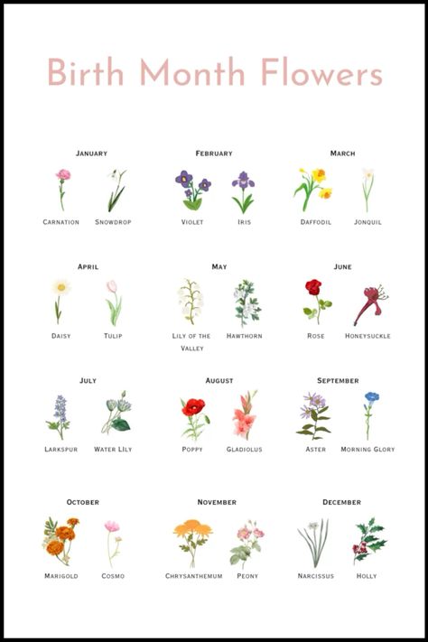 Each Month's Flower, Flower For March Birth Month, Flower And Their Meaning, Flowers Of Each Month, Flowers For Months Of The Year, Flower For January Birth Month, Birth Flower Meanings, Cosmo Flower Bouquet, May Birth Month Symbols