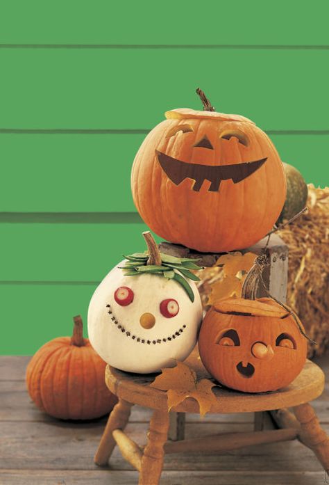 Last minute ideas for decorating your Halloween pumpkins Pumpkin Inspiration, Pumpkin Decorating Ideas, Pumpkin Carving Kits, Pumpkin Pin, No Carve Pumpkin Decorating, Annual Halloween Party, Pumpkin Contest, Pumpkin Designs, Easy Diy Decor