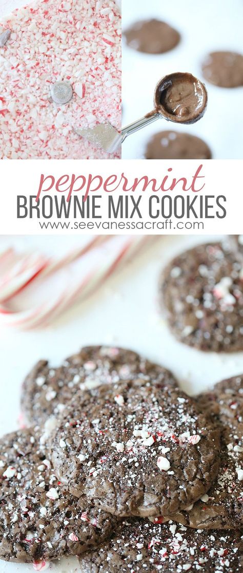 Recipe: Peppermint Brownie Mix Cookies Brownie Mix Cookie, Best Brownie Mix, Chocolate Peppermint Cookies Recipe, Peppermint Brownie Cookies, Ultimate Chocolate Brownies, Peppermint Brownie, Peppermint Cookie Recipe, Brownie Mix Cookies, Chocolate Peppermint Cookies