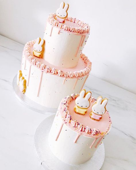 #nijntje #nijntjetaart #miffy #miffycake #dripcakes #pink #roze #baby #smashcake #themacake #mariasweetcakery #1 #happybirthday… Miffy Birthday Cake, Miffy Birthday Party, Miffy Birthday, Bday Breakfast, Miffy Cake, Miffy Bunny, 1st Bday Cake, Rabbit Cake, 1st Birthday Cakes