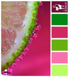 Interior - Pink & Green Lime Green Bedrooms, Colour Studies, Color Inspiration Boards, Colours That Go Together, Pink Palette, Color Palette Bright, Color Palette Pink, Green Colour Palette, Colour Inspiration