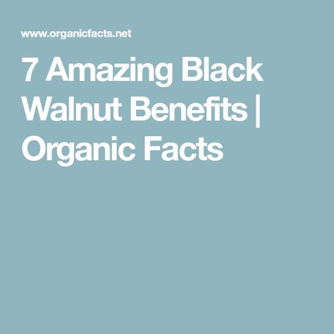 7 Amazing Black Walnut Benefits | Organic Facts Black Walnut Benefits, Walnut Oil Benefits, Wormwood Benefits, Health Benefits Of Walnuts, Juglans Nigra, Improve Heart Health, Stomach Ache, Heart Health, Black Walnuts