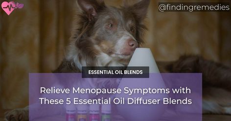 Improve your menopausal experience with 5 essential oil diffuser blends. Try blends for hot flashes, mood swings, sleep, concentration & more. Healing Essential Oils, Essential Oil Carrier Oils, Clary Sage Essential Oil, Essential Oil Spray, Sage Essential Oil, Bergamot Essential Oil, Essential Oil Diffuser Blends, Natural Pain Relief, Oil Diffuser Blends