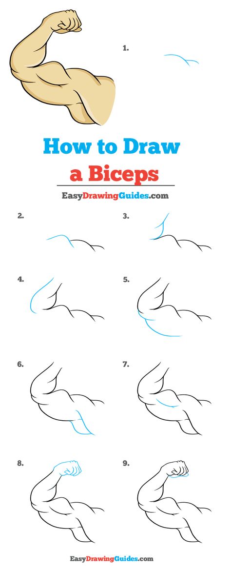 How to Draw a Biceps - Really Easy Drawing Tutorial How To Draw Abs, Oil Pastel Drawings Easy, Realistic Sketch, Drawing Tutorials For Kids, Human Anatomy Drawing, Human Drawing, Easy Drawings For Kids, Easy Drawings Sketches, Sketches Tutorial