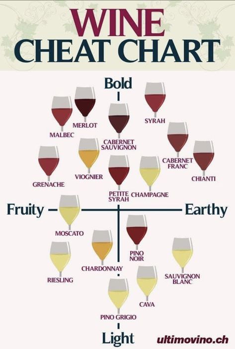 Wine Basics, Wine Chart, Wine Facts, Nyttige Tips, Wine Flavors, Wine Knowledge, Wine Guide, Wine Food Pairing, Deilig Mat