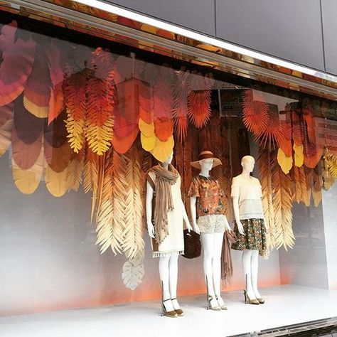 Autumn Window Display Retail, Autumn Window Display, Display Visual Merchandising, Fashion Window Display, Fall Windows, Window Display Retail, Dressing Design, Fall Gardening, Decoration Vitrine