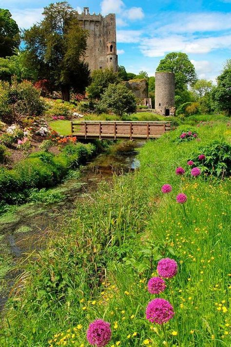 Tipperary Ireland, Blarney Castle, County Cork Ireland, Irish Castles, County Cork, Cork Ireland, Beautiful Castles, A Bridge, Ireland Travel