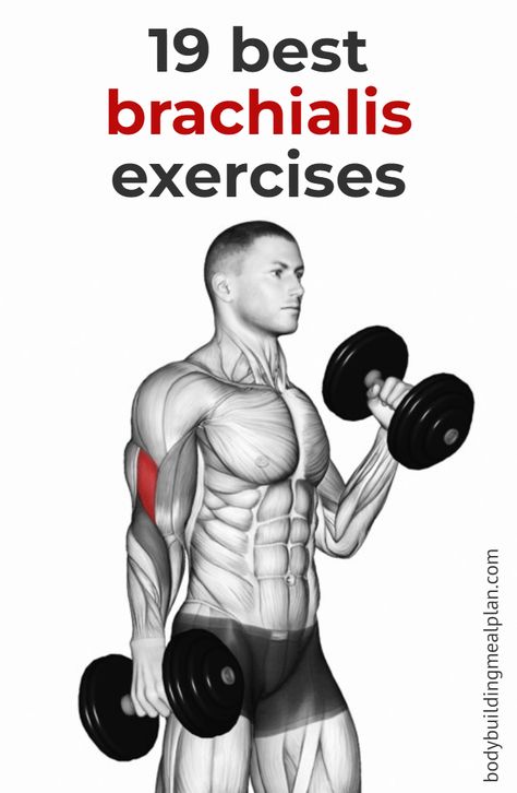 Brachialis Exercises Pin Types Of Bicep Curls, Brachialis Workout, Brachialis Muscle, Fitness Benefits, Reverse Curls, Bicep Workout, Bicep Muscle, Arm Work, Dumbell Workout