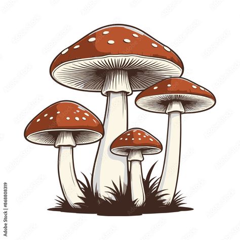 Vintage Engraved Mushroom Trio Illustration Trio Illustration, Vintage Mushroom Art, Mushroom Pictures, Vintage Mushroom, Mushroom Art, Adobe Stock, Stock Vector, Stuffed Mushrooms, Stock Photos